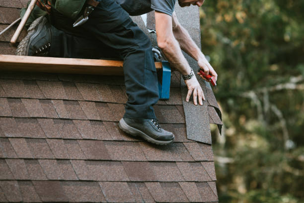 Roof Installation Near Me in Underwood Petersville, AL